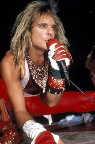 David Lee Roth and Van Halen Wall Poster picture 954731