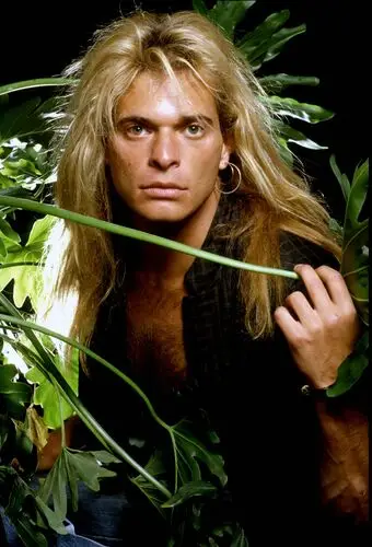 David Lee Roth and Van Halen Protected Face mask - idPoster.com