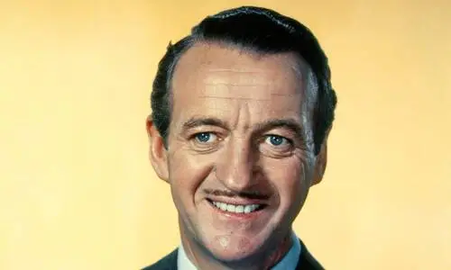 David Niven Wall Poster picture 928596