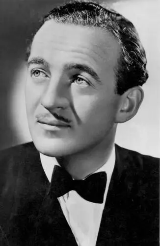 David Niven Wall Poster picture 928667
