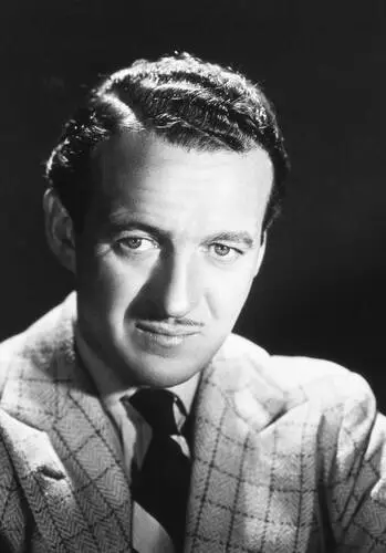 David Niven Wall Poster picture 928672