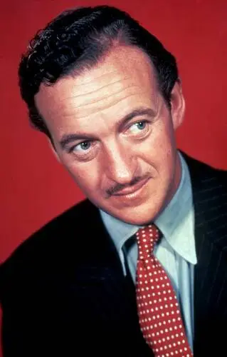 David Niven Wall Poster picture 928673