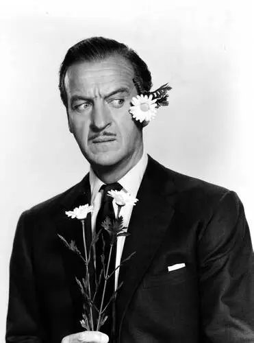 David Niven Wall Poster picture 928676