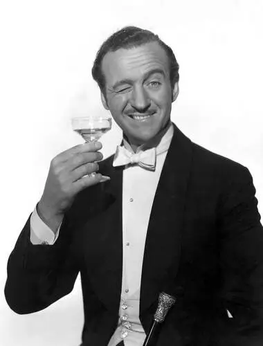David Niven Wall Poster picture 928684