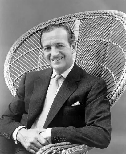 David Niven Wall Poster picture 928688