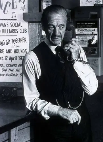 David Niven Wall Poster picture 928694
