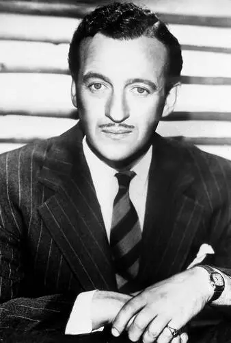 David Niven Wall Poster picture 928701