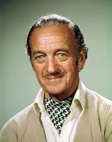 David Niven Wall Poster picture 928709