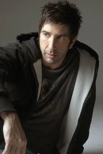 David Schwimmer Wall Poster picture 483408