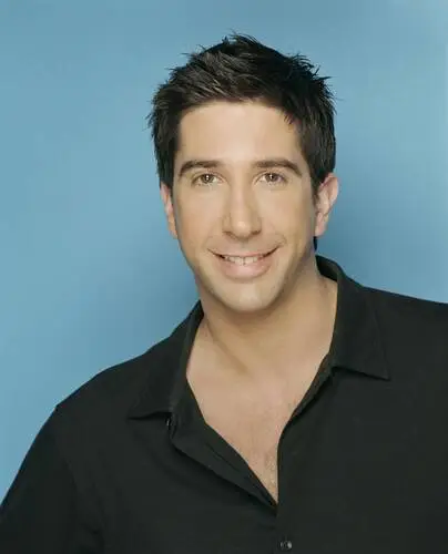 David Schwimmer Protected Face mask - idPoster.com