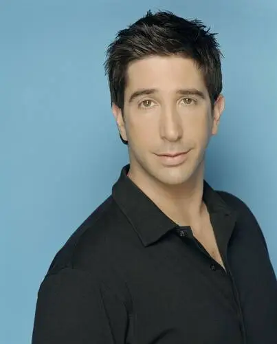 David Schwimmer Wall Poster picture 484980