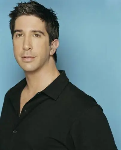 David Schwimmer Wall Poster picture 484981