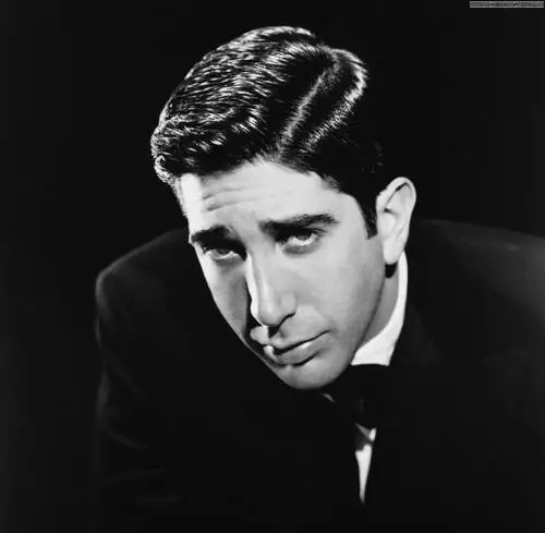 David Schwimmer Wall Poster picture 493950