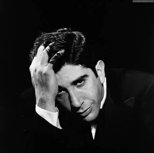 David Schwimmer Wall Poster picture 493952
