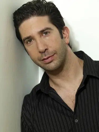 David Schwimmer Wall Poster picture 498815