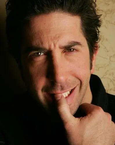 David Schwimmer Wall Poster picture 504183