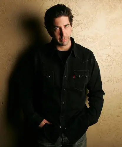 David Schwimmer Wall Poster picture 504185