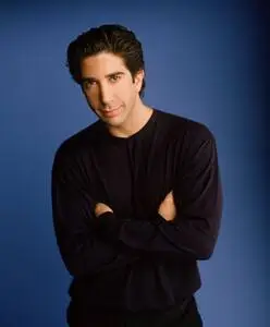 David Schwimmer posters and prints