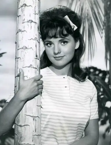 Dawn Wells Wall Poster picture 685278