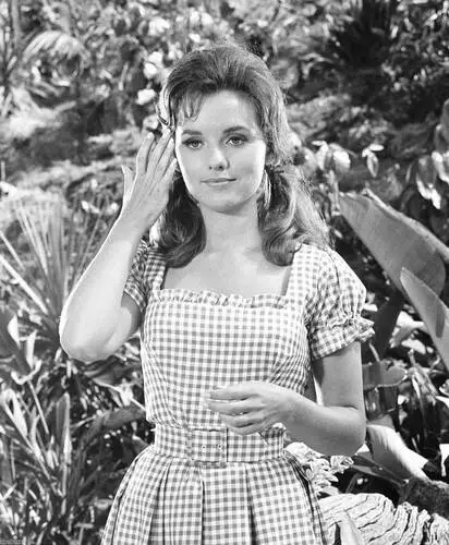Dawn Wells Image Jpg picture 685279