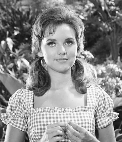 Dawn Wells Computer MousePad picture 685280