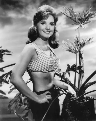 Dawn Wells Wall Poster picture 685281