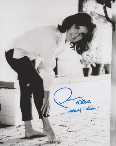 Dawn Wells Image Jpg picture 685283