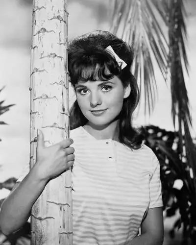 Dawn Wells Wall Poster picture 685284