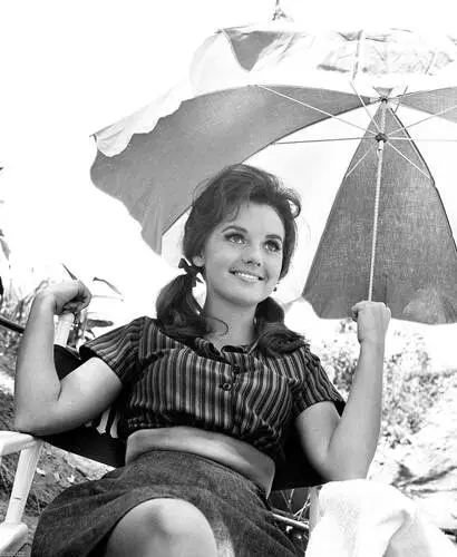 Dawn Wells Image Jpg picture 685285