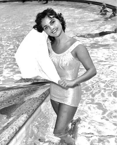 Dawn Wells Image Jpg picture 685297