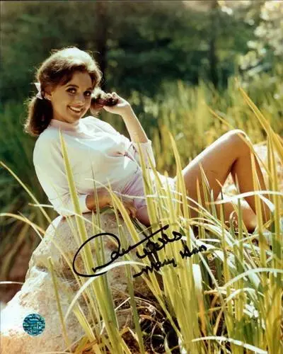 Dawn Wells Computer MousePad picture 685298