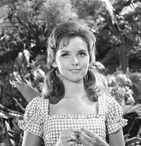Dawn Wells Computer MousePad picture 685304