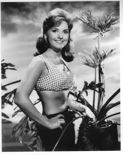 Dawn Wells Wall Poster picture 685306