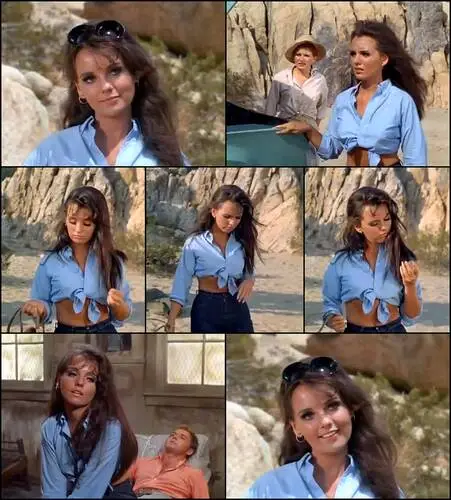 Dawn Wells Computer MousePad picture 685324
