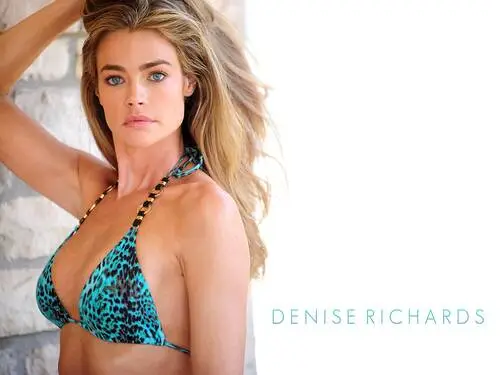Denise Richards Wall Poster picture 232951