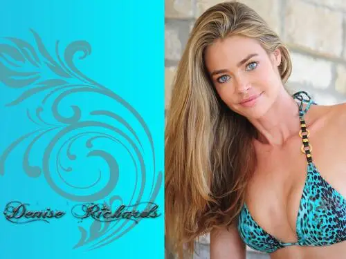 Denise Richards Wall Poster picture 232953