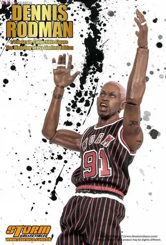 Dennis Rodman Wall Poster picture 987610