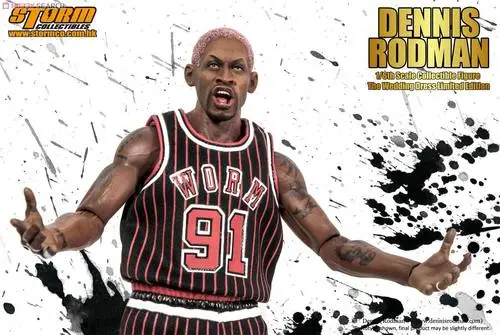 Dennis Rodman Wall Poster picture 987612