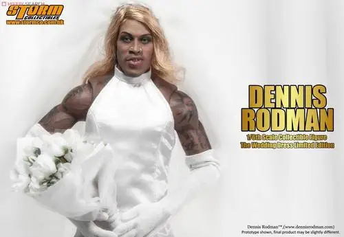 Dennis Rodman Tote Bag - idPoster.com