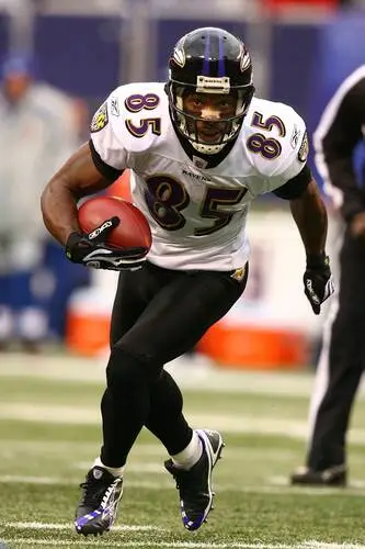 Derrick Mason Wall Poster picture 95557