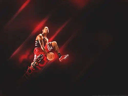 Derrick Rose Wall Poster picture 199601