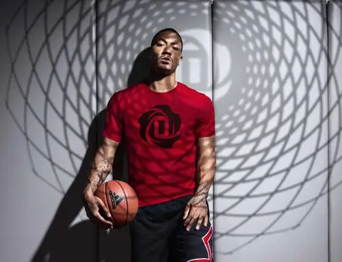 Derrick Rose Wall Poster picture 282644