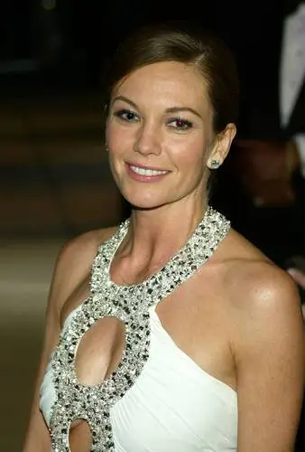 Diane Lane Wall Poster picture 32971