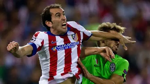 Diego Godin Wall Poster picture 671280
