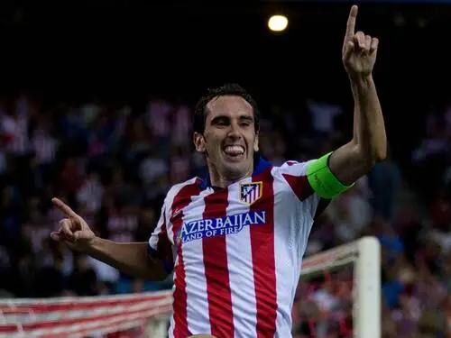 Diego Godin Wall Poster picture 671282