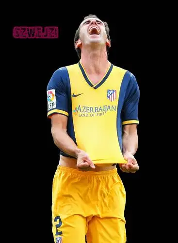 Diego Godin Wall Poster picture 671283