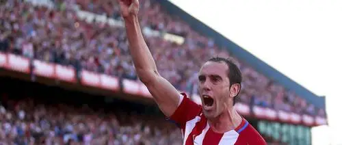 Diego Godin Computer MousePad picture 671285