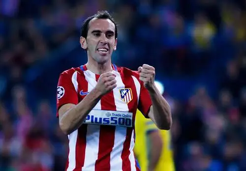 Diego Godin Computer MousePad picture 671290