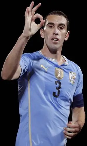 Diego Godin Wall Poster picture 671293