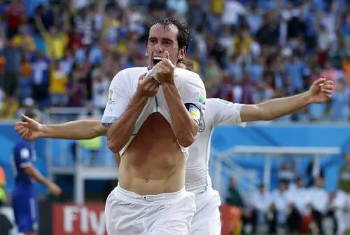 Diego Godin Wall Poster picture 671301